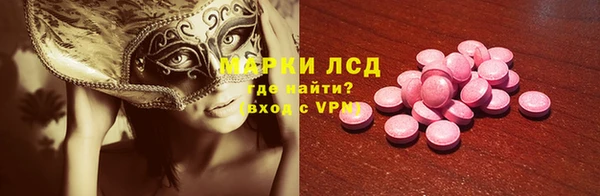индика Зеленодольск