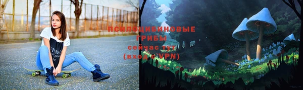 индика Зеленодольск