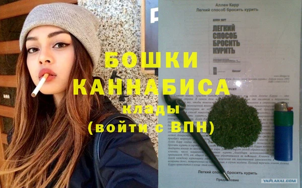 индика Зеленодольск