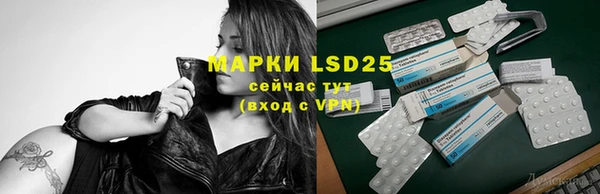 индика Зеленодольск