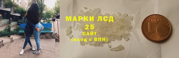 индика Зеленодольск
