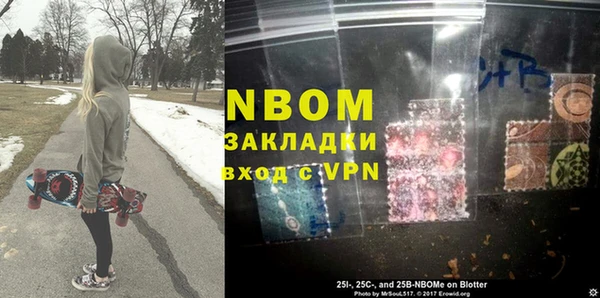 индика Зеленодольск