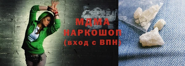 индика Зеленодольск