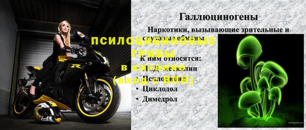индика Зеленодольск
