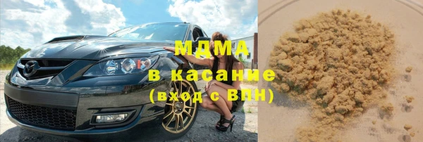 индика Зеленодольск