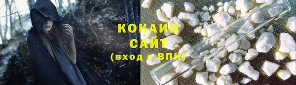 индика Зеленодольск